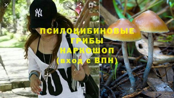 каннабис Алзамай