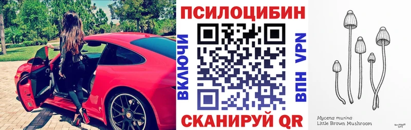 как найти закладки  Бикин  гидра   Псилоцибиновые грибы Psilocybine cubensis 
